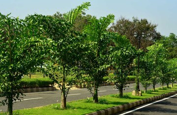  Plot – Exterior View View at Sobha Chartered Birdsong, Rajanukunte - for Sale
