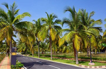  Plot – Exterior View View at Sobha Chartered Birdsong, Rajanukunte - for Sale
