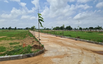 Plot For Sale in Jadcherla