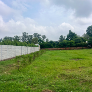  Land For Sale in Sohna