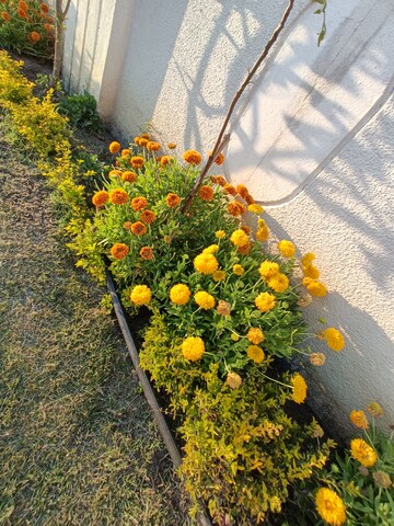 Land – Garden View at Ringnodiya - for Sale