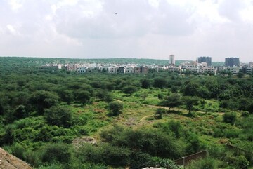  3 BHK Apartment at DLF Park Place, Sector 54 – for Rent