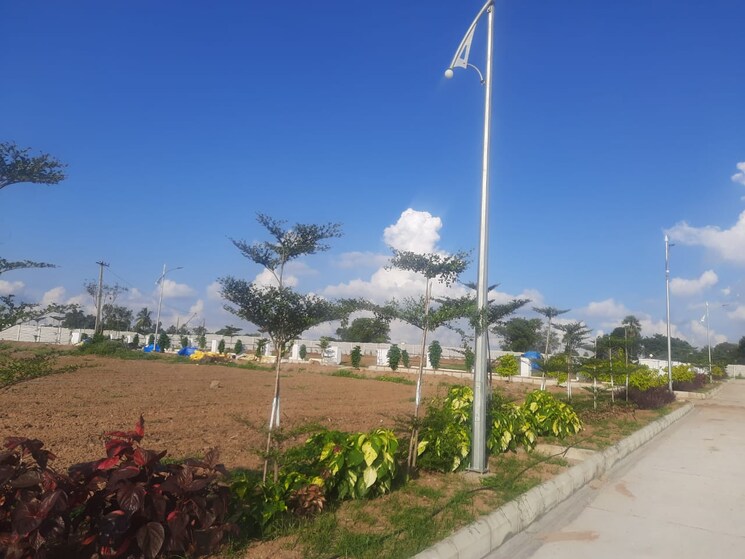 Exterior View, vasudaika-henley-woods  236 Sq.Yd. Plot In Nagreddipalli Hyderabad 8397460