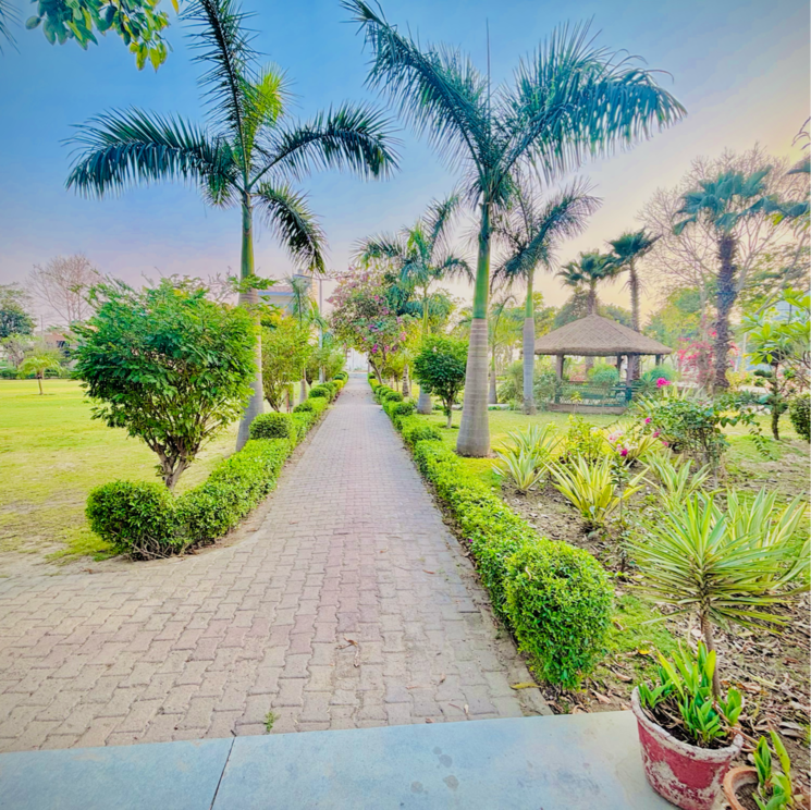 Exterior View, zestha-bhagirath-vihar-residency  250 Sq.Yd. Plot In Murshadpur Greater Noida 8397518