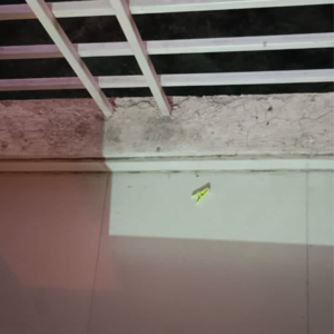 Balcony in 2 BHK Apartment at Raunak Unnathi Woods Phase 4 And 5, Kasarvadavali – for Sale