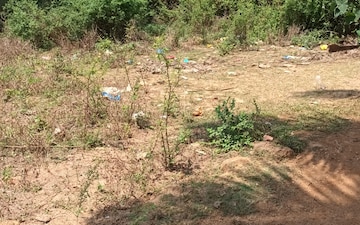Plot For Sale in Kodibag