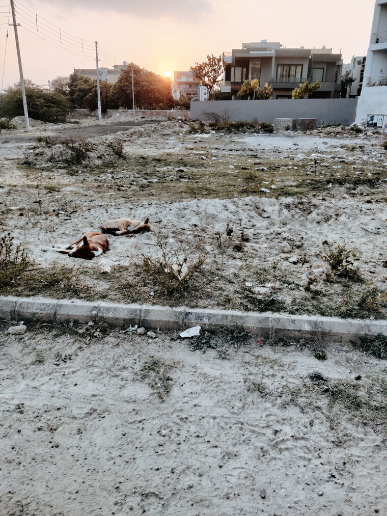 Exterior View, govt-housing-society  160 Sq.Yd. Plot In Sector 64 Faridabad 8398495