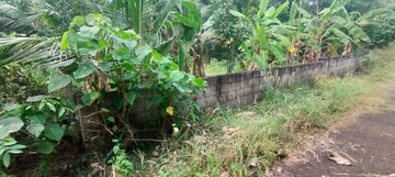  Plot – Exterior View View at Kolazhy - for Sale