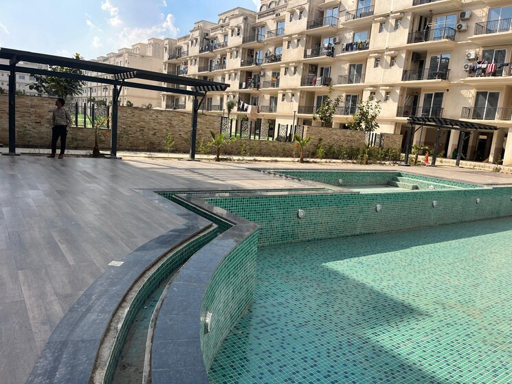 Swimming Pool, signature-global-park 3 Bedroom 1119 Sq.Ft. Builder Floor In Sohna Sector 36 Gurgaon 8398247