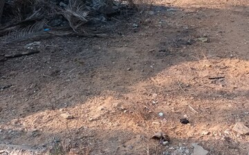 Plot For Sale in Kodibag