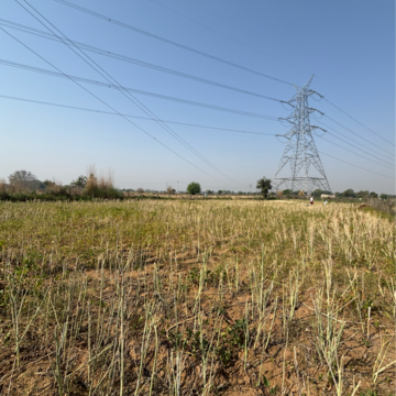 Plot For Resale in Damdma Gurgaon  8398409