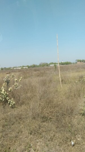  Plot For Sale in Raj Nagar Extension
