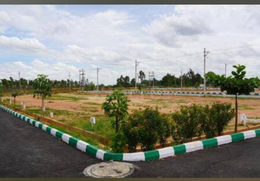 Plot For Sale in Bj Alora Woods Property S