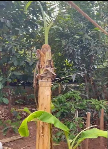 Plot Area in  Plot at Viyyur – for Sale
