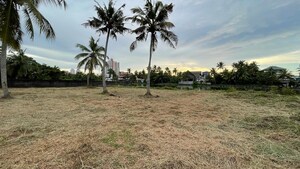  Plot For Sale in Vytilla