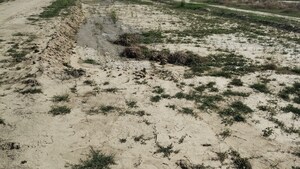  Plot For Sale in Bamnikhera