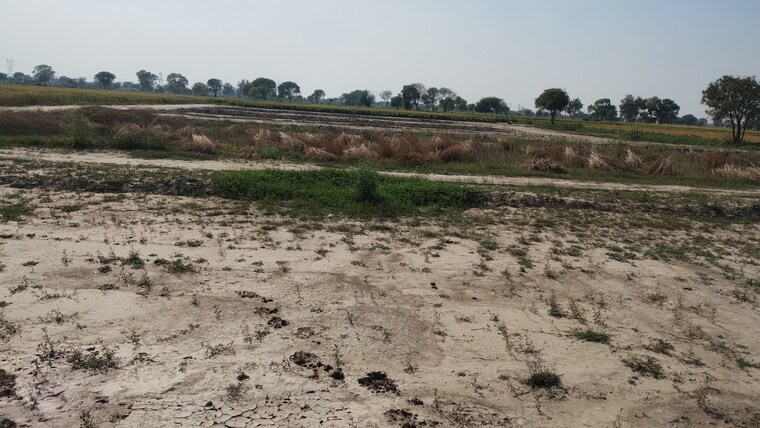 Exterior View, bamnikhera  190 Sq.Yd. Plot In Bamnikhera Palwal 8399897