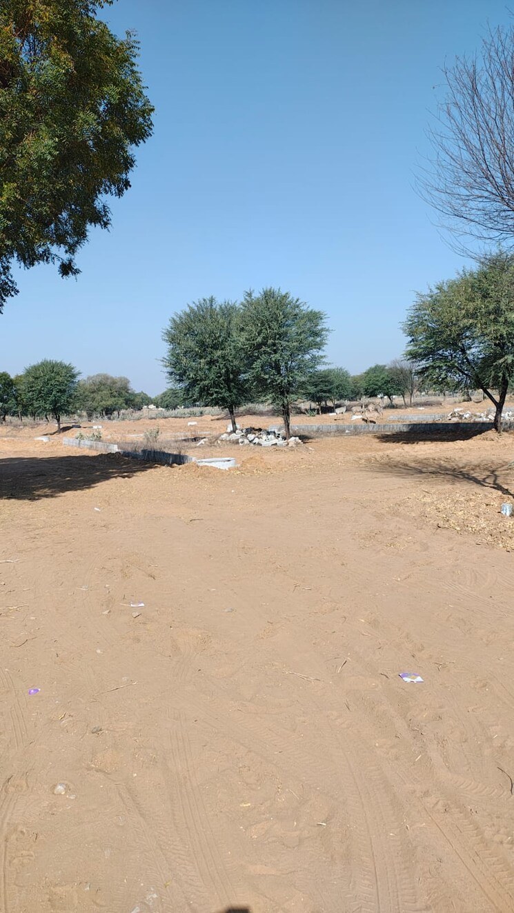 Exterior View, sirsi road  100 Sq.Yd. Plot In Sirsi Road Jaipur 8400920