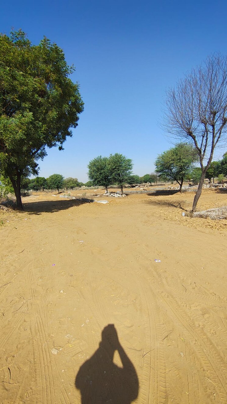 Exterior View, sirsi road  100 Sq.Yd. Plot In Sirsi Road Jaipur 8400920