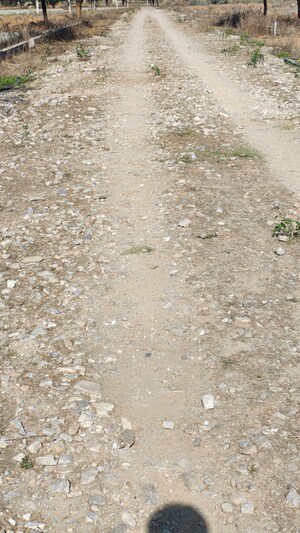 Plot Area in  Plot at Sirsi Road – for Sale