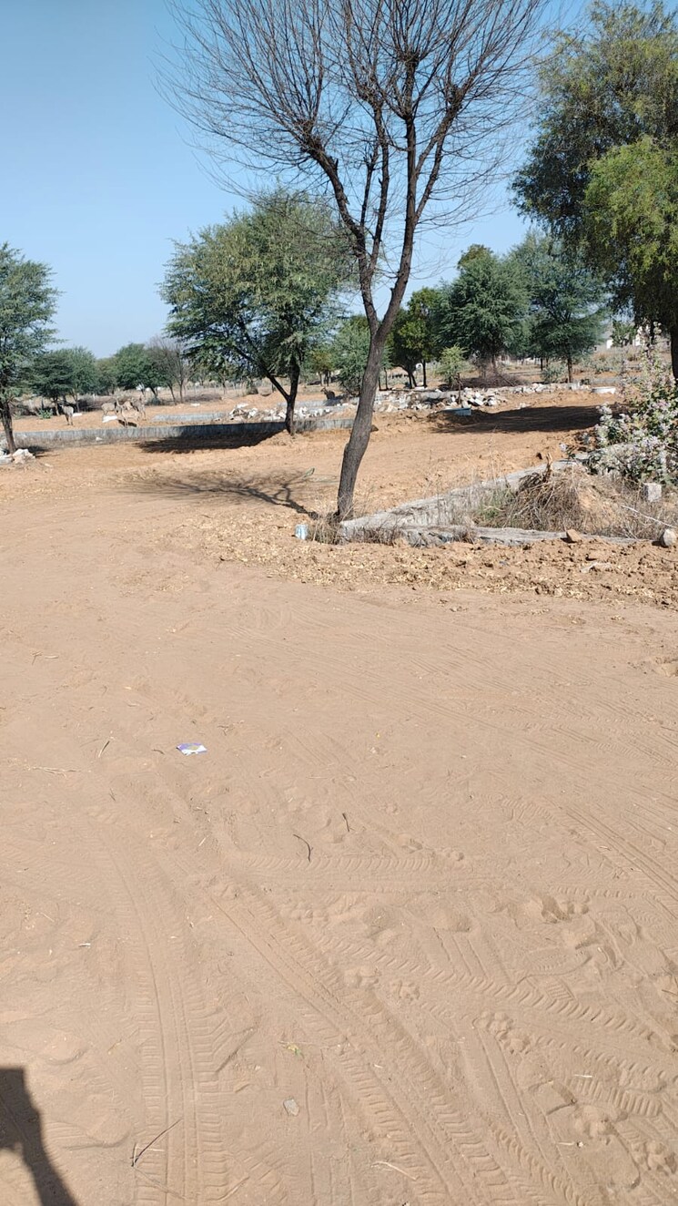 Exterior View, sirsi road  100 Sq.Yd. Plot In Sirsi Road Jaipur 8400920