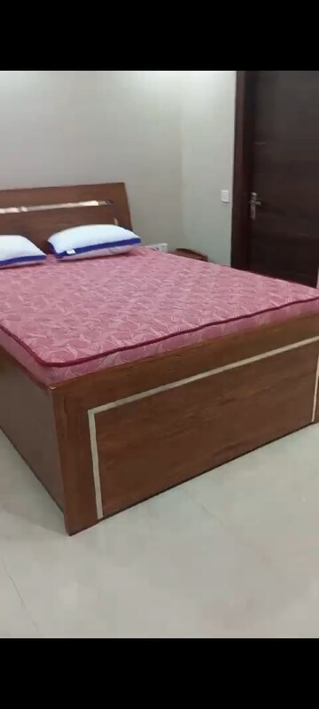 3.5 BHK Builder Floor For Rent in Sector 23