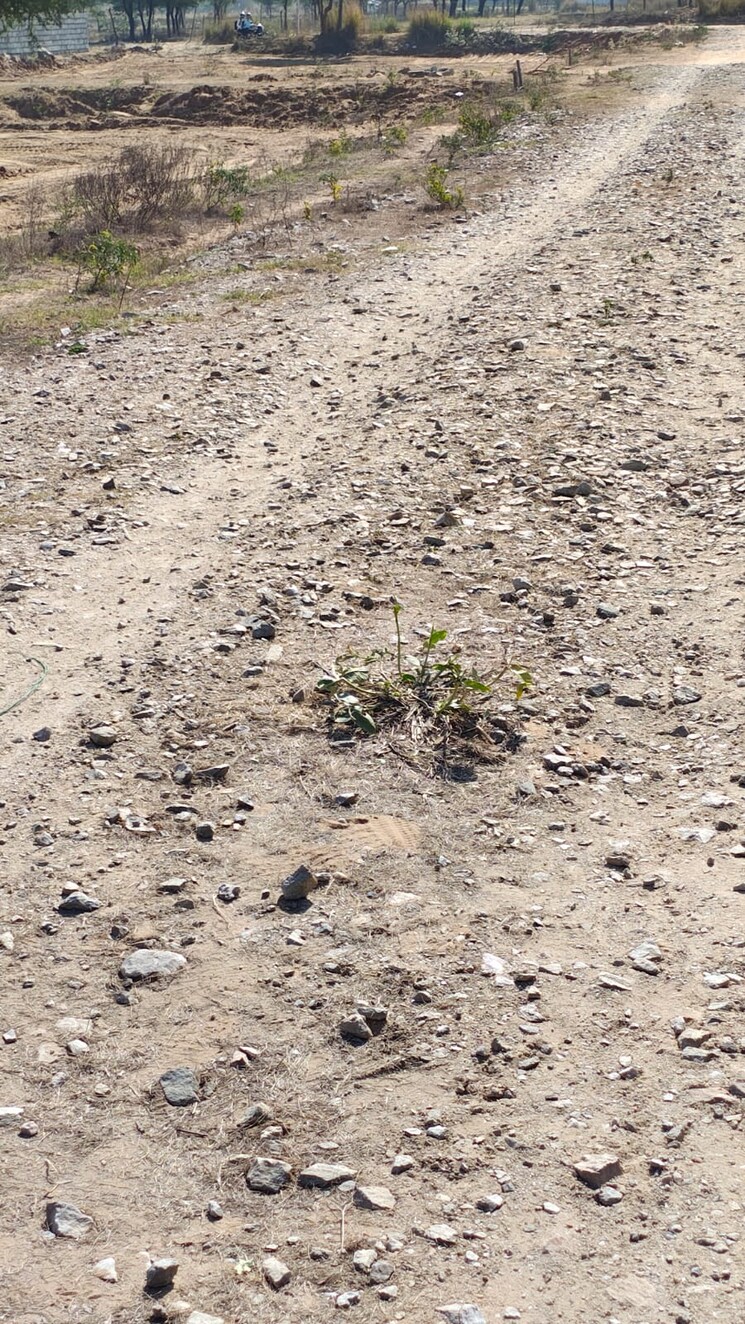 Exterior View, sirsi  125 Sq.Yd. Plot In Sirsi Jaipur 8401275