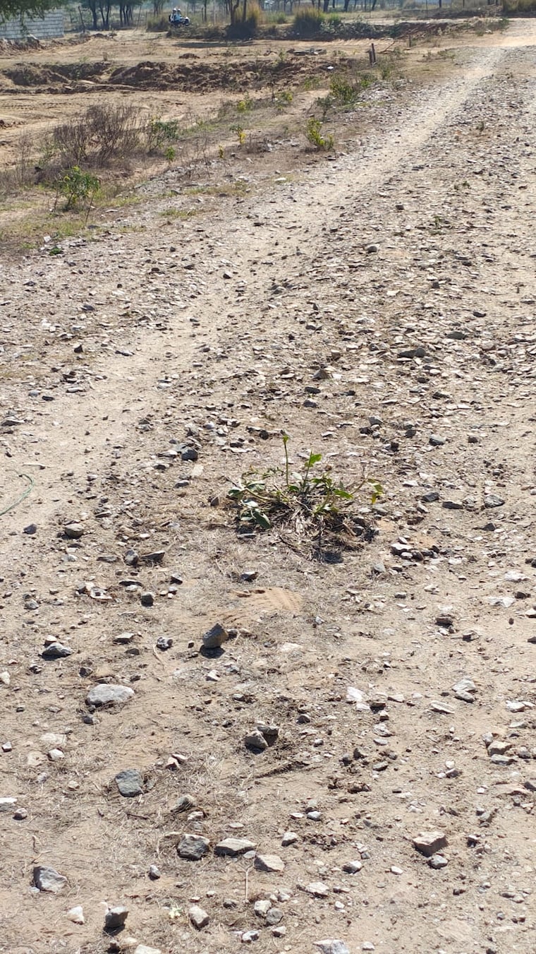 Exterior View, sirsi  125 Sq.Yd. Plot In Sirsi Jaipur 8401275