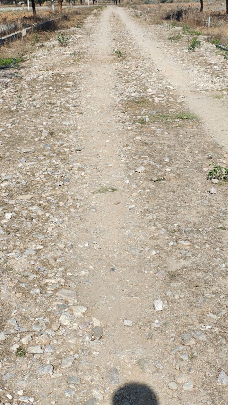 Exterior View, sirsi road  122 Sq.Yd. Plot In Sirsi Road Jaipur 8401676