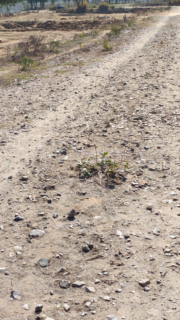 Exterior View, sirsi road  122 Sq.Yd. Plot In Sirsi Road Jaipur 8401676