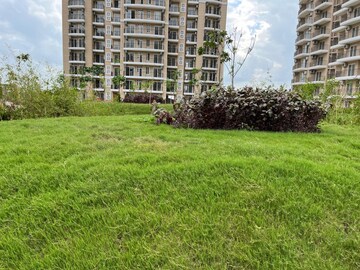3.5 BHK Apartment – Exterior View View at Sector 150 - for Sale