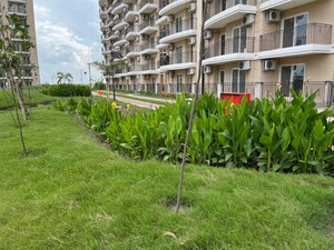 3 BHK Apartment For Sale in ATS Homekraft Pious Hideaways, Sector 150