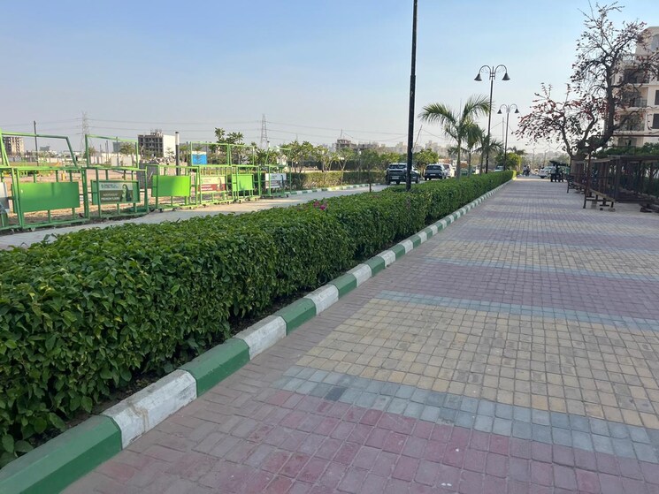 Swimming Pool, signature-global-park-4-and-5 3 Bedroom 1120 Sq.Ft. Apartment In Sohna Sector 36 Gurgaon 8402611