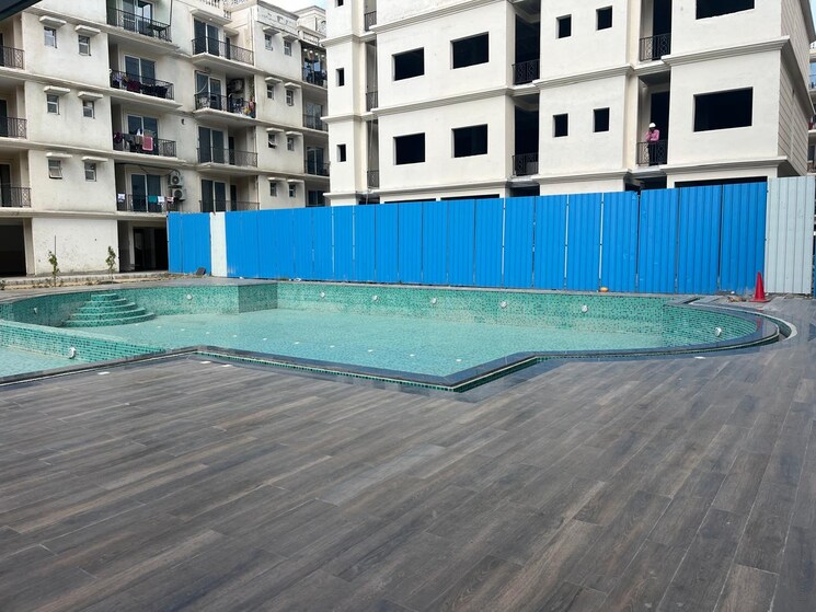 Swimming Pool, signature-global-park-4-and-5 3 Bedroom 1120 Sq.Ft. Apartment In Sohna Sector 36 Gurgaon 8402611