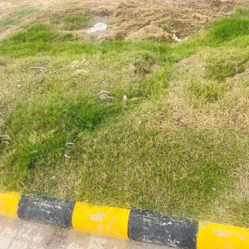 Plot Area in  Plot at Aerocity – for Sale