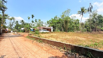 Plot Area in  Plot at Mulanthuruthy – for Sale