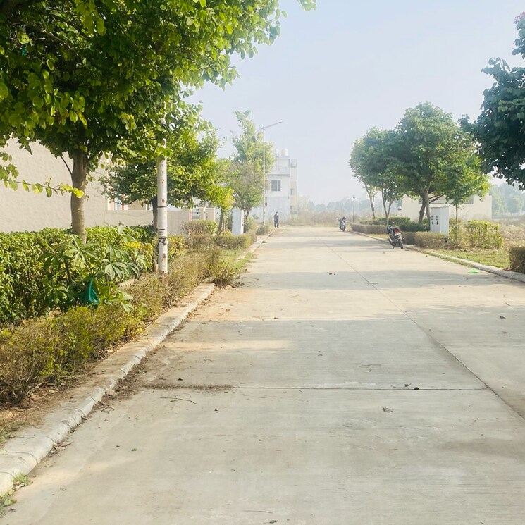 Exterior View, omaxe-new-chandigarh  200 Sq.Yd. Plot In Mullanpur Chandigarh 8404334