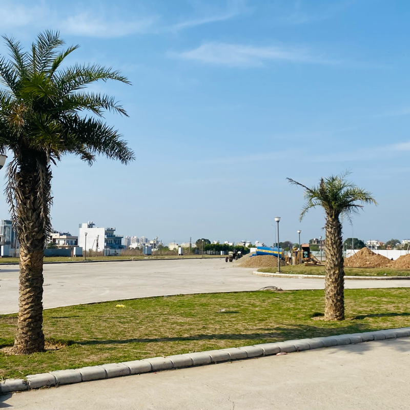 Plot For Sale in Omaxe New Chandigarh