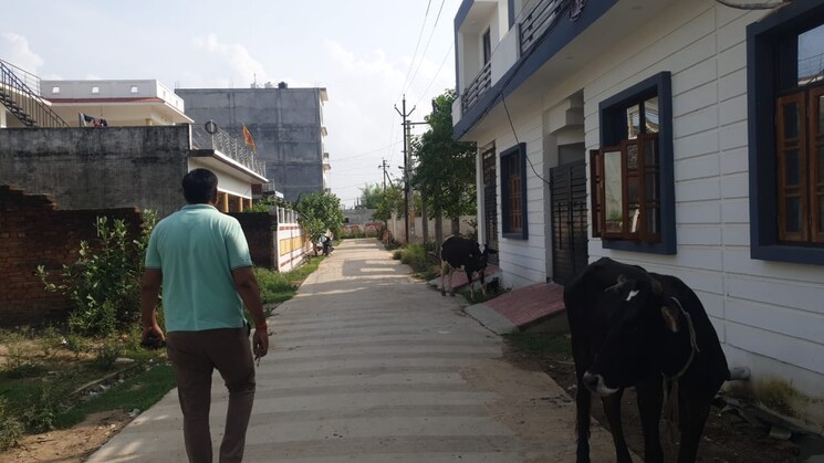 undefined, dayal-greens  1525 Sq.Ft. Plot In Matiyari Lucknow 8404987