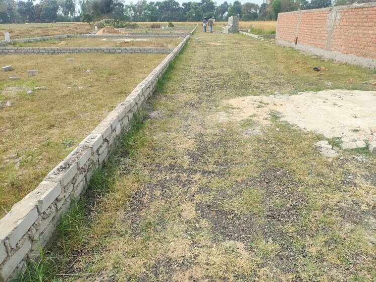 Exterior View, painal  1361 Sq.Ft. Plot In Painal Patna 8405067