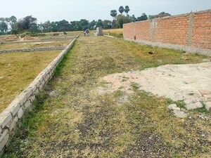  Plot For Sale in Painal