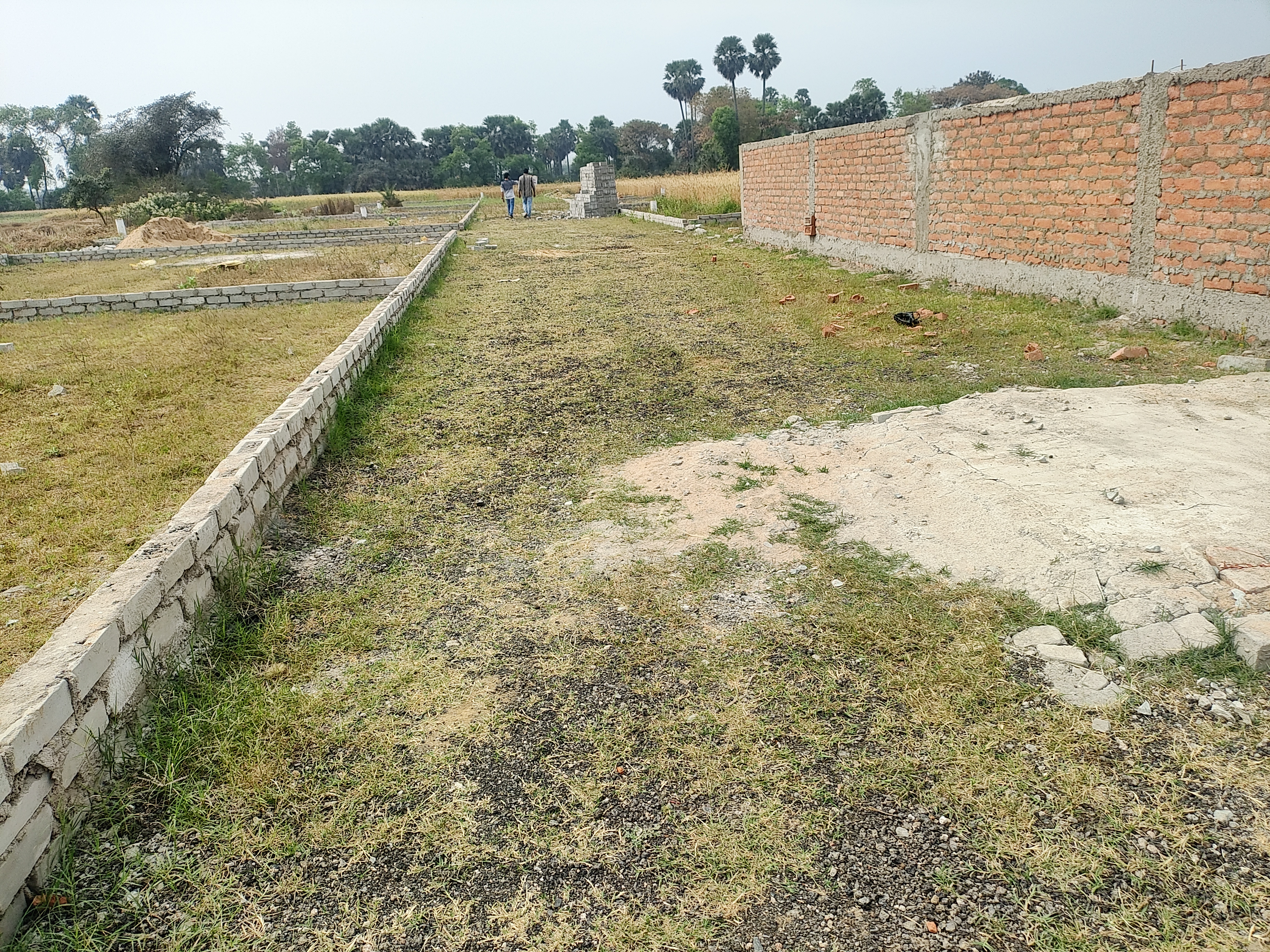 Plot For Sale in Royal Garden Kanhauli 