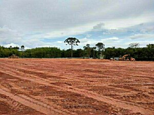  Plot For Sale in Off Sarjapur Road