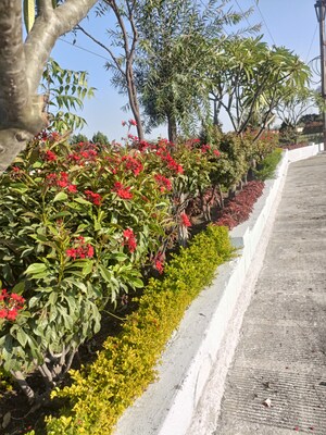  Land – Garden View at Ringnodiya - for Sale