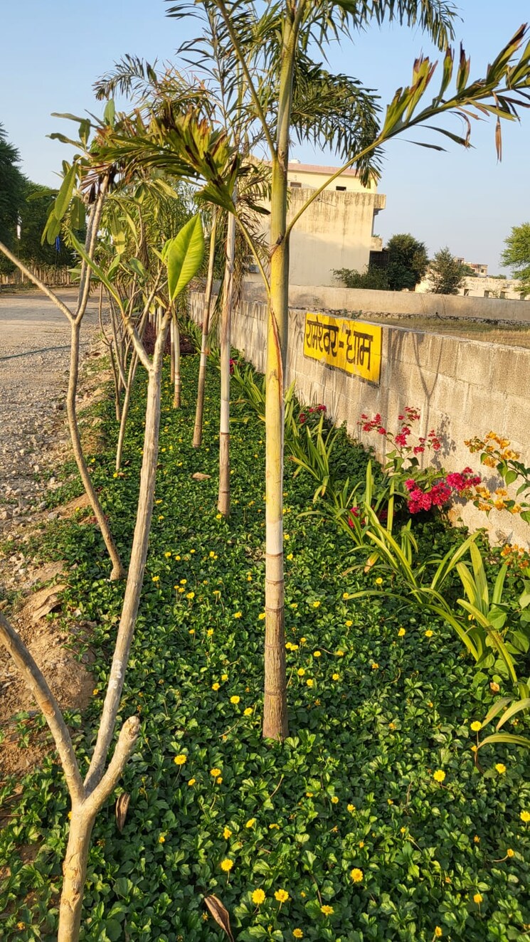 Garden, mahapura  87 Sq.Yd. Plot In Mahapura Jaipur 8405621