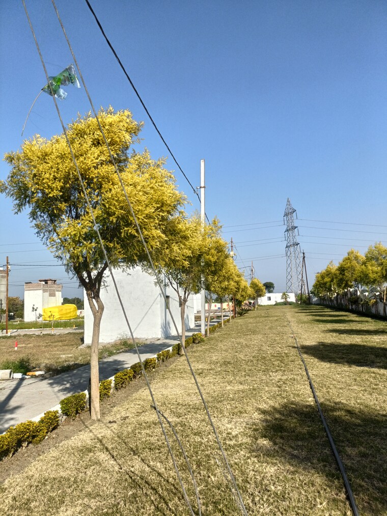 Garden, panchderiya  1200 Sq.Ft. Plot In Panchderiya Indore 8406047