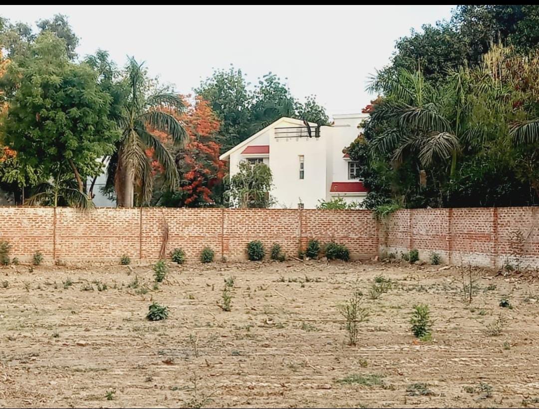 Plot For Sale in Jankipuram