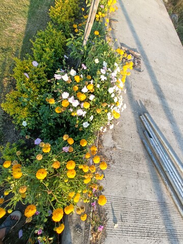  Plot – Garden View at Bajrangpura - for Sale