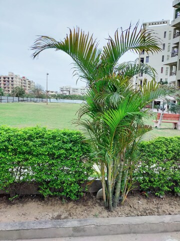2 BHK Apartment – Exterior View View at Prem Satyam Swastik Apartment, Patiala Road - for Rent