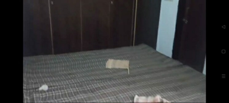 Room, mansa ram park 2 Bedroom 750 Sq.Ft. Apartment In Mansa Ram Park Delhi 8406569